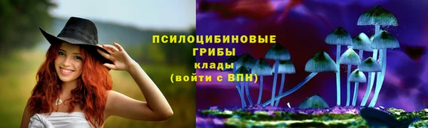 дурь Алзамай