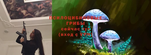 дживик Алексин