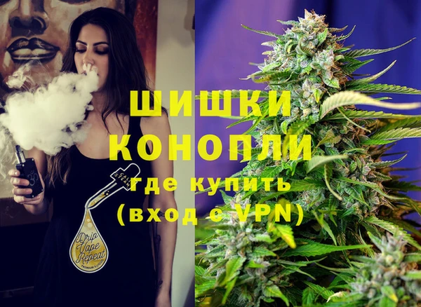 дживик Алексин