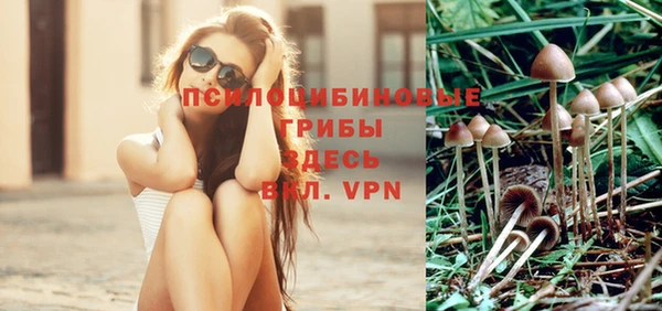 дурь Алзамай