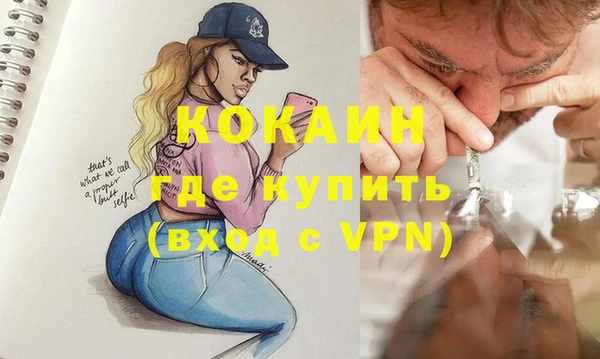 дживик Алексин